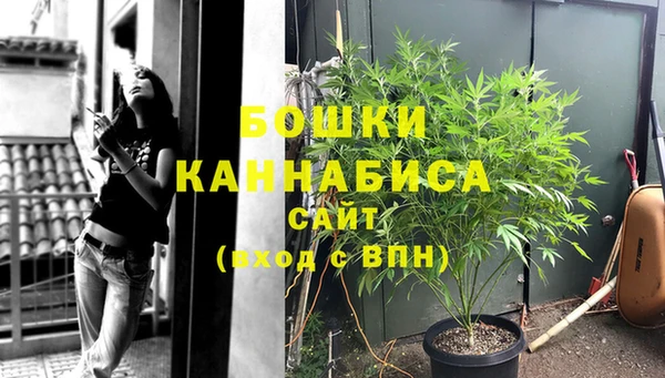 прущие грибы Пестово