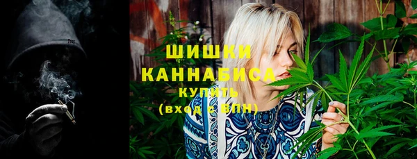 дживик Переславль-Залесский