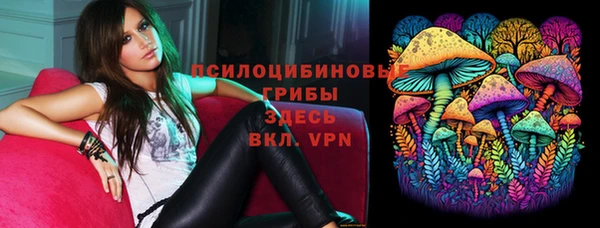 прущие грибы Пестово