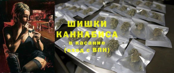 прущие грибы Пестово
