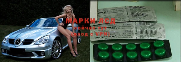 прущие грибы Пестово