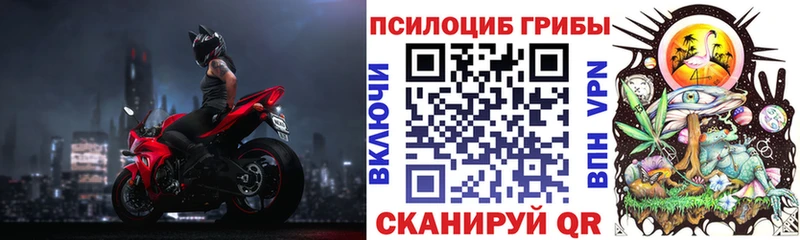 Купить  Усолье-Сибирское  Псилоцибиновые грибы Psilocybine cubensis 